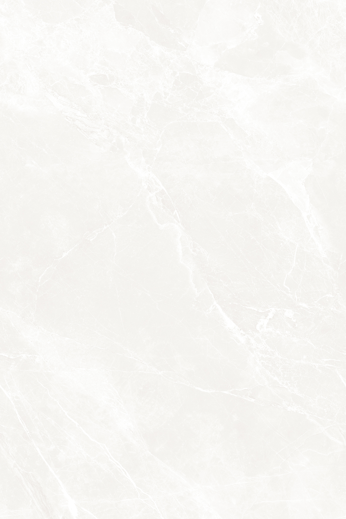 NETRA BLANCO