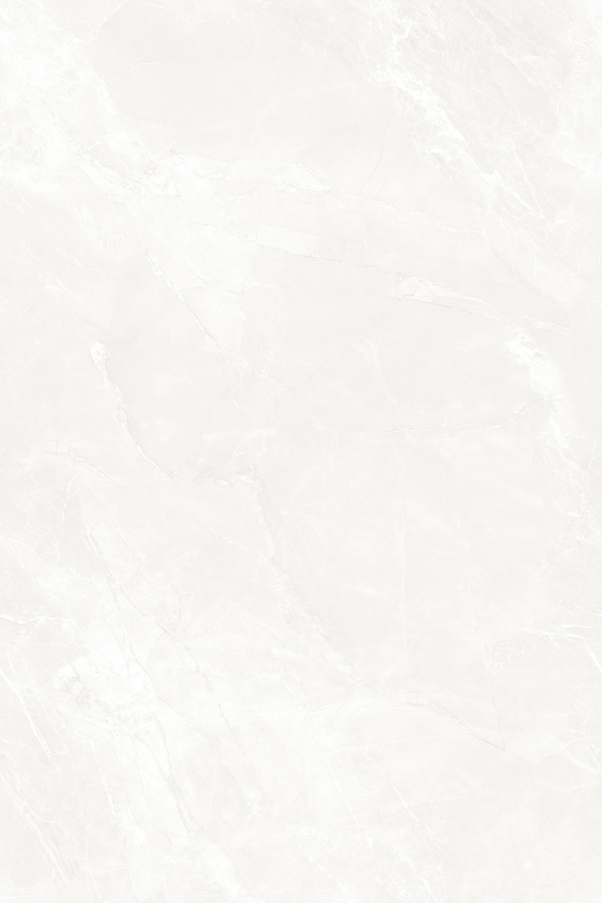 NETRA BLANCO