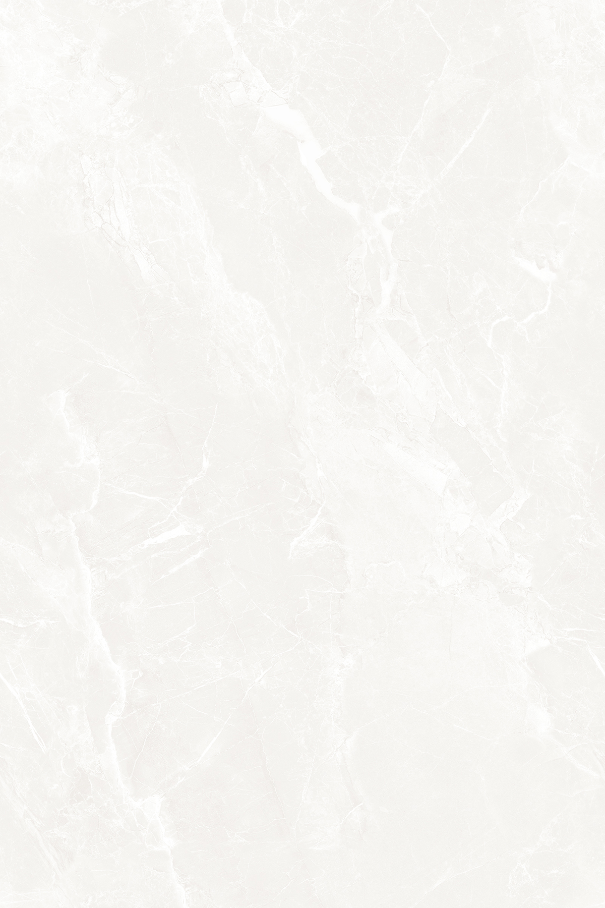 NETRA BLANCO