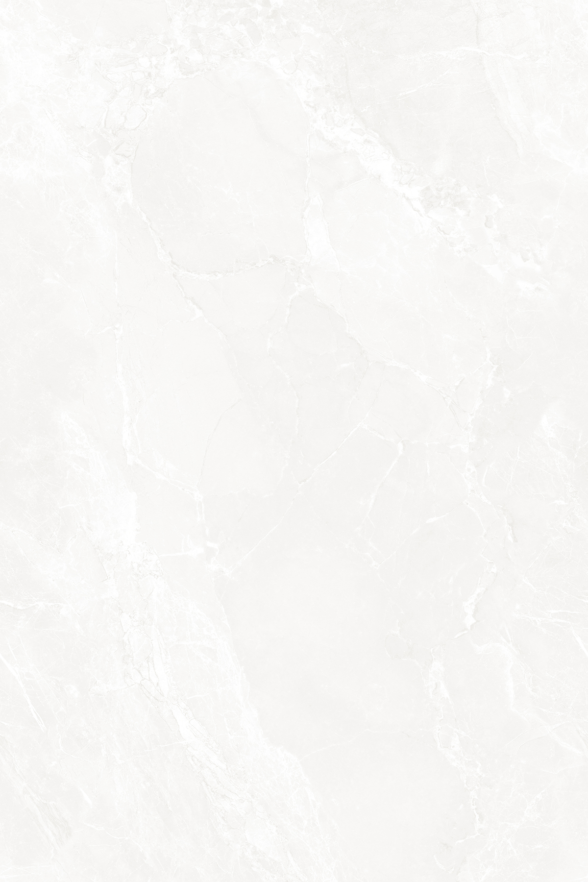 NETRA BLANCO
