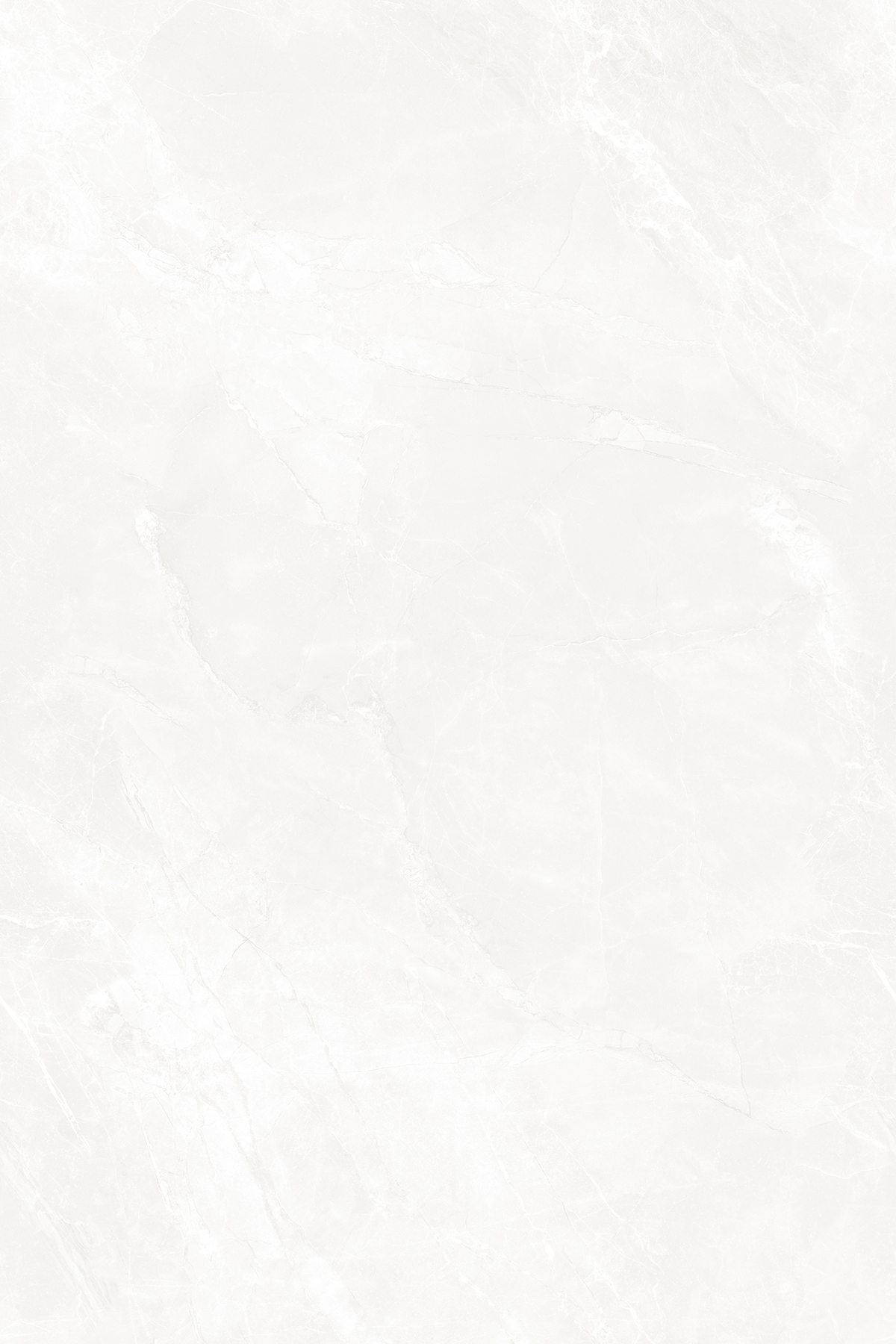 NETRA BLANCO