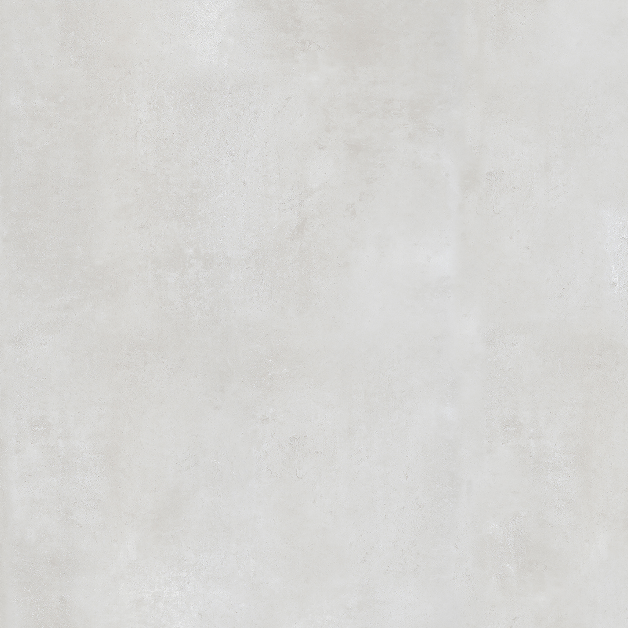 FALCON WHITE