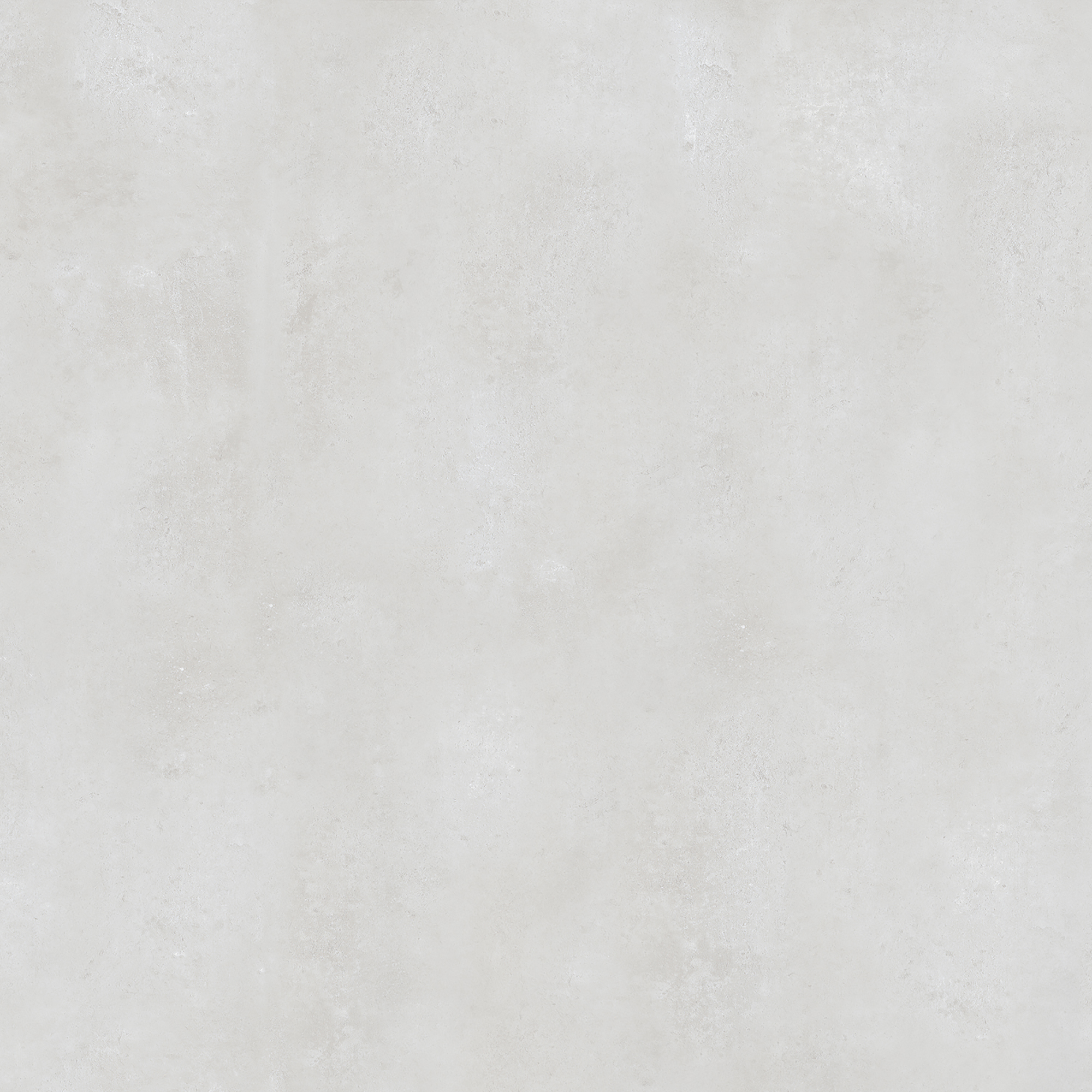 FALCON WHITE