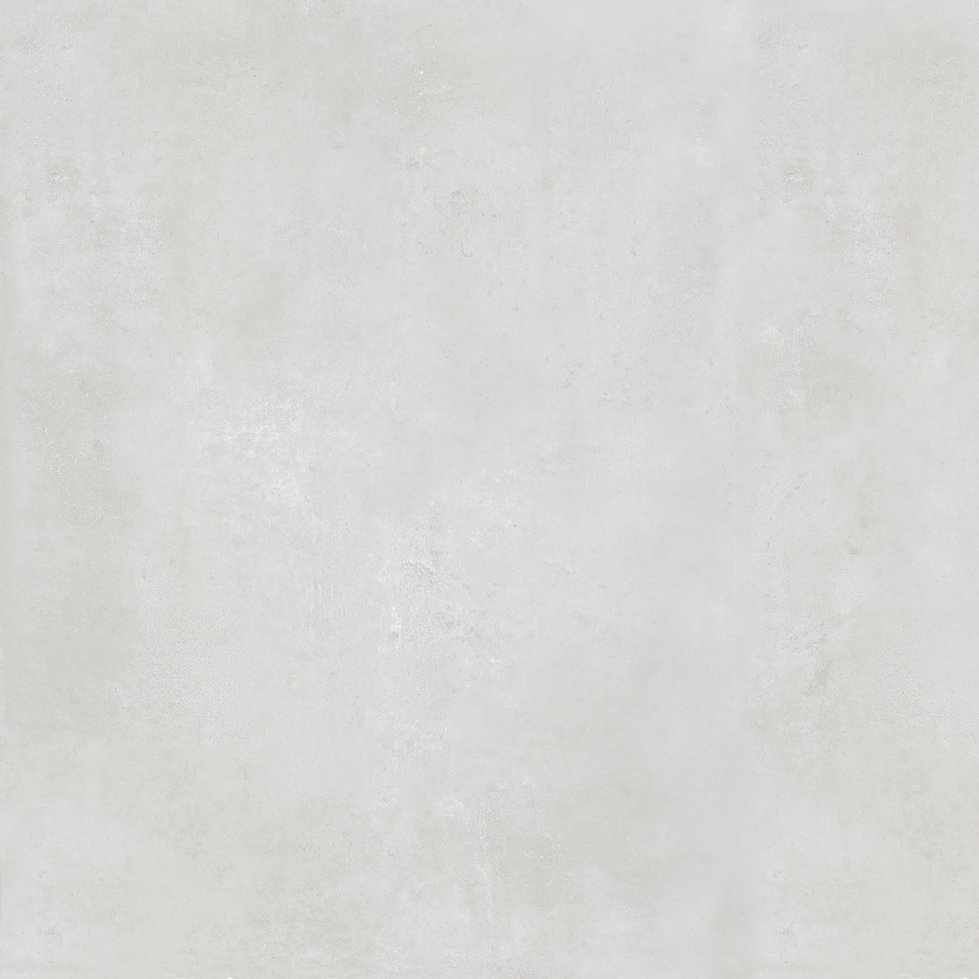 FALCON WHITE