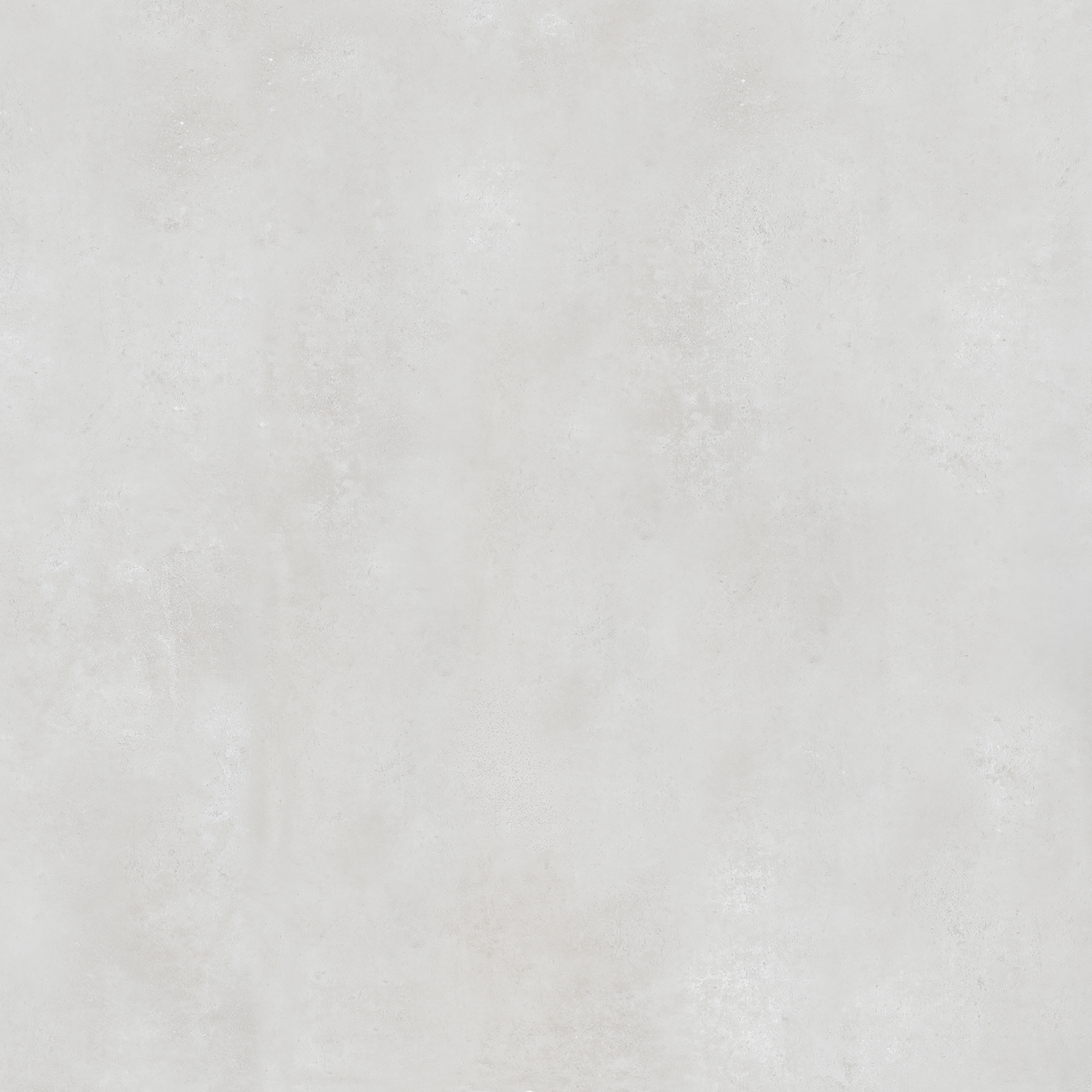 FALCON WHITE