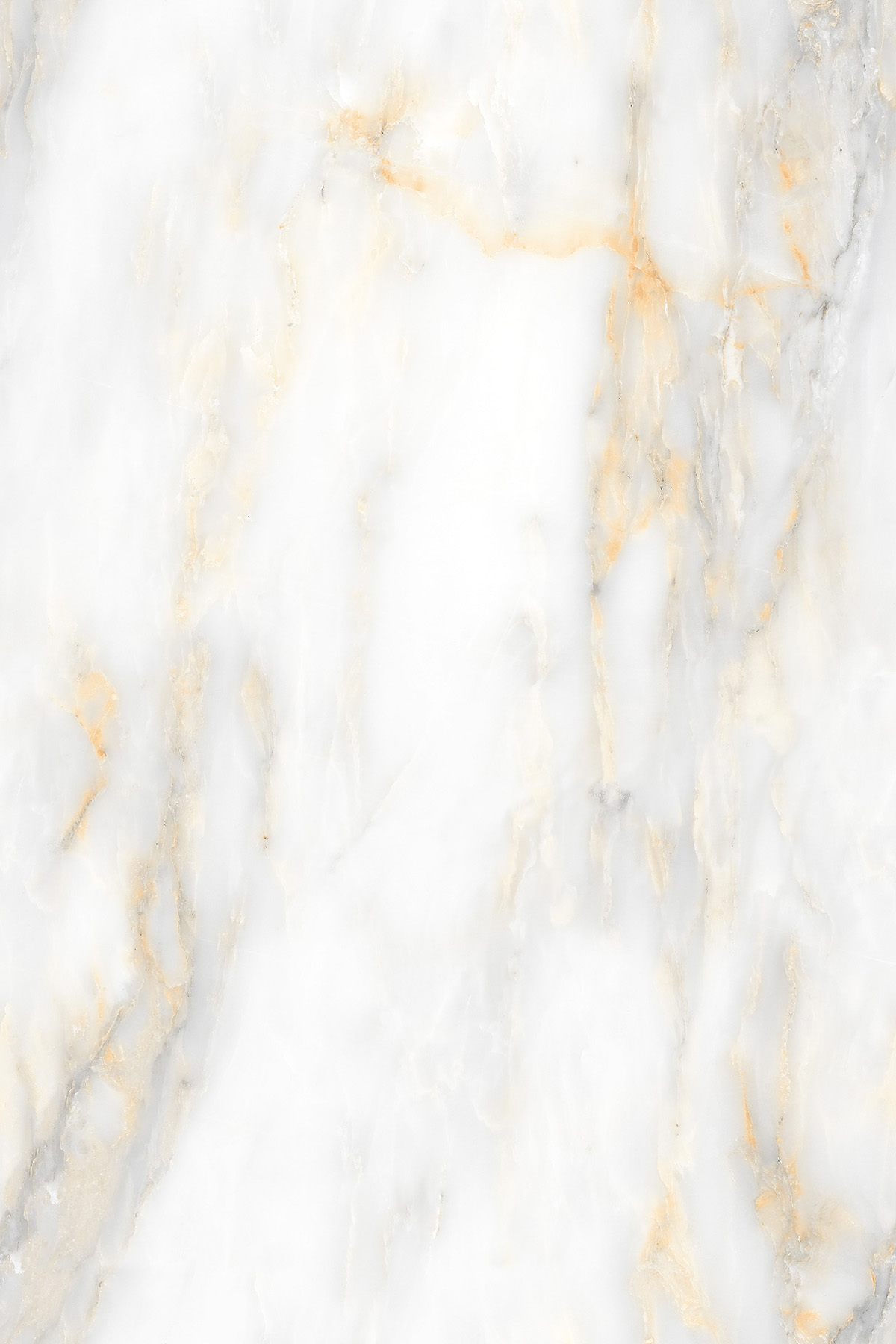 PARAS STONE