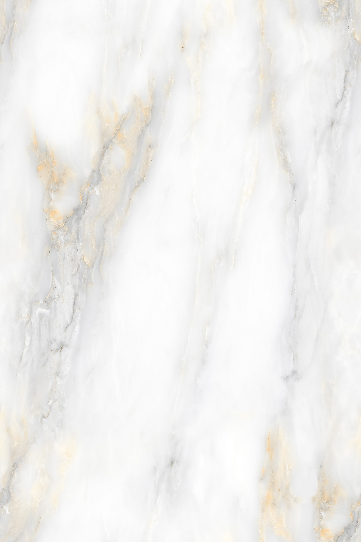 PARAS STONE