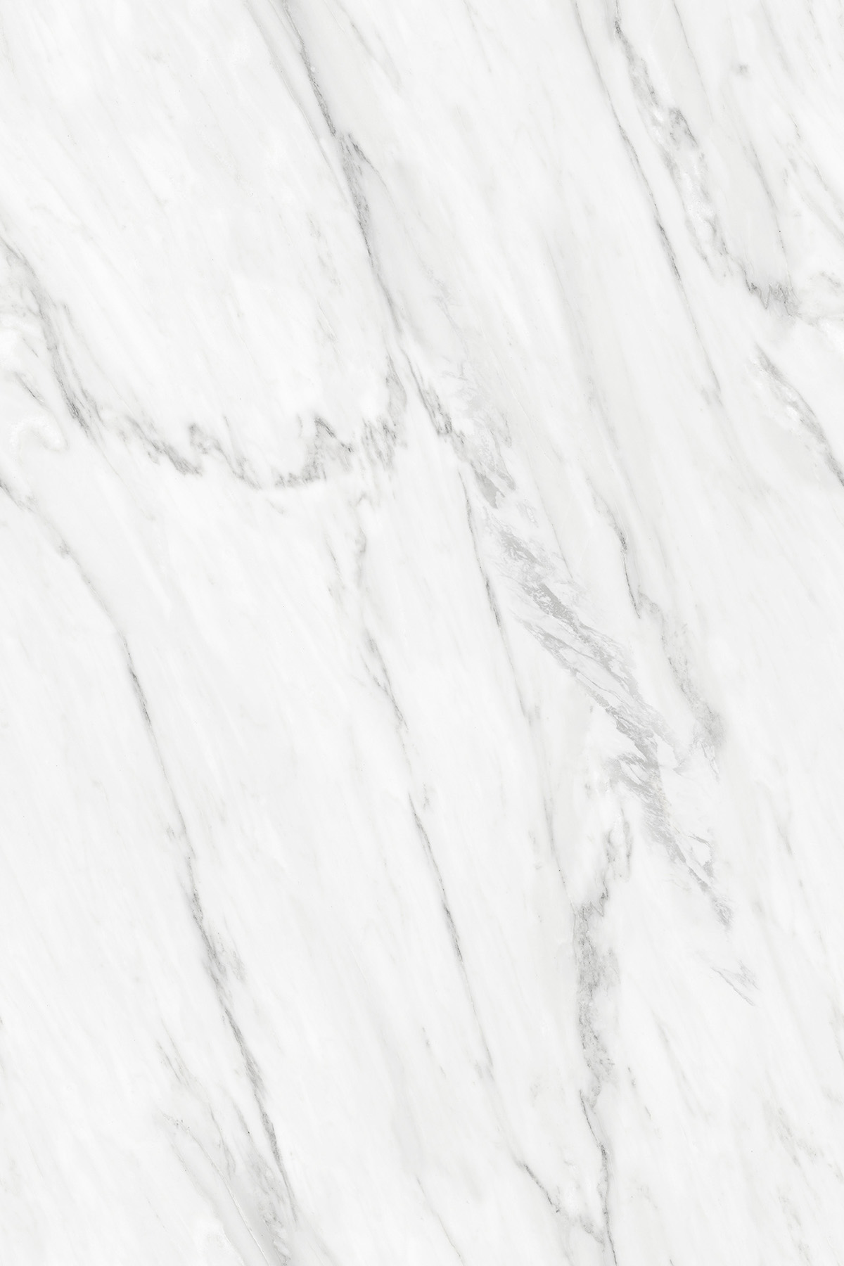 VIOLA WHITE