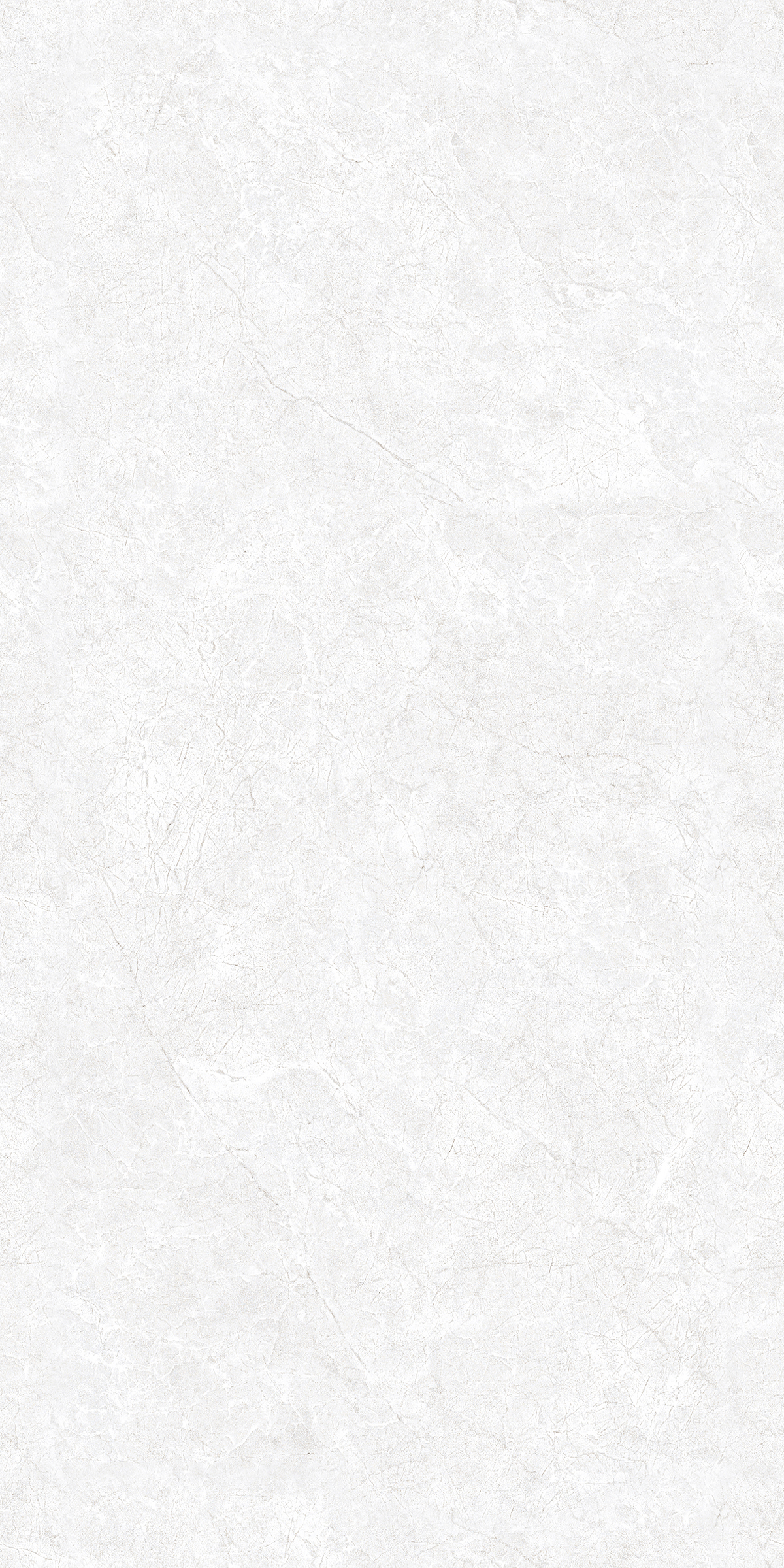 CR ENDLESS OYSTER BIANCO