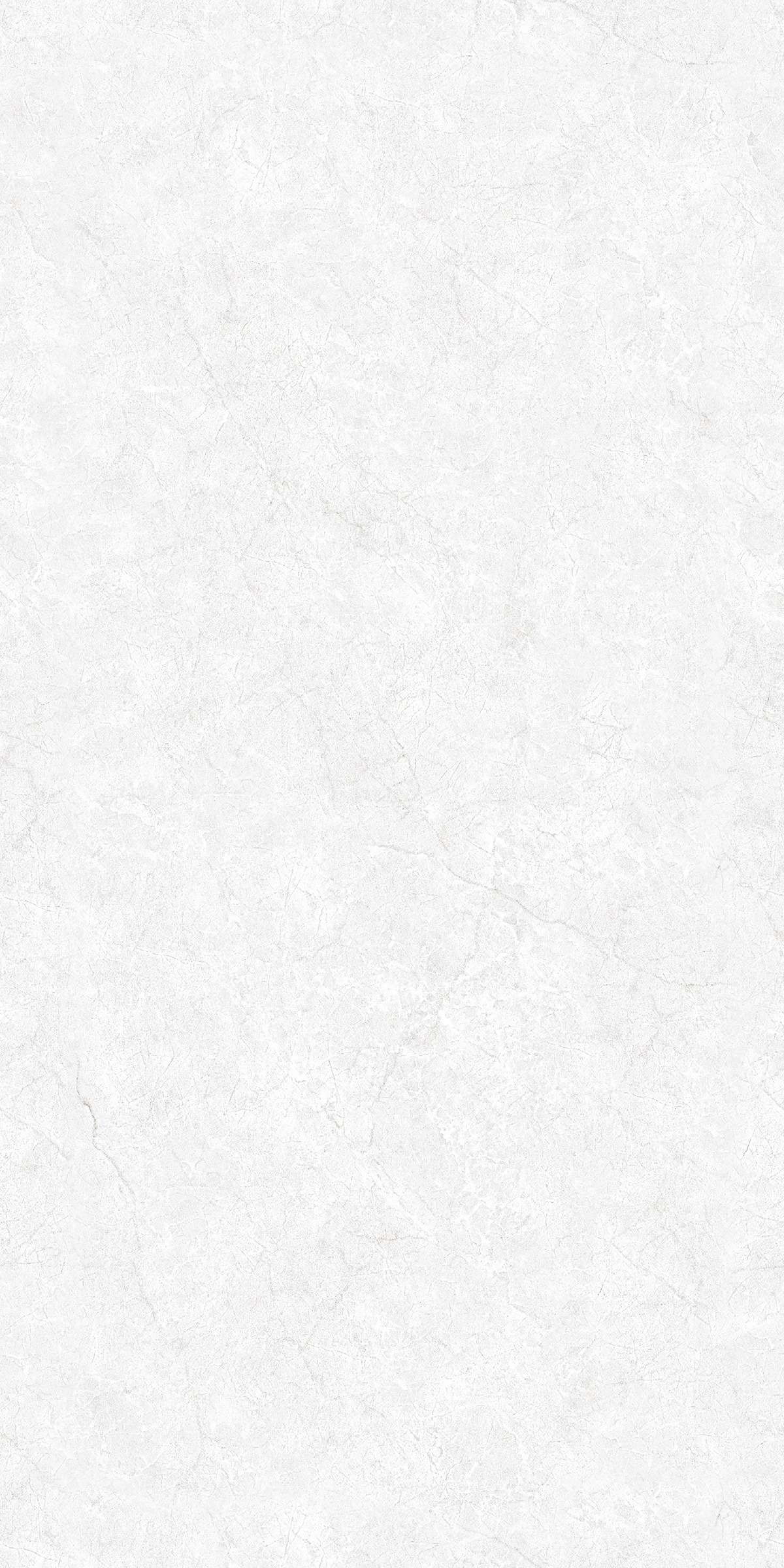 CR ENDLESS OYSTER BIANCO