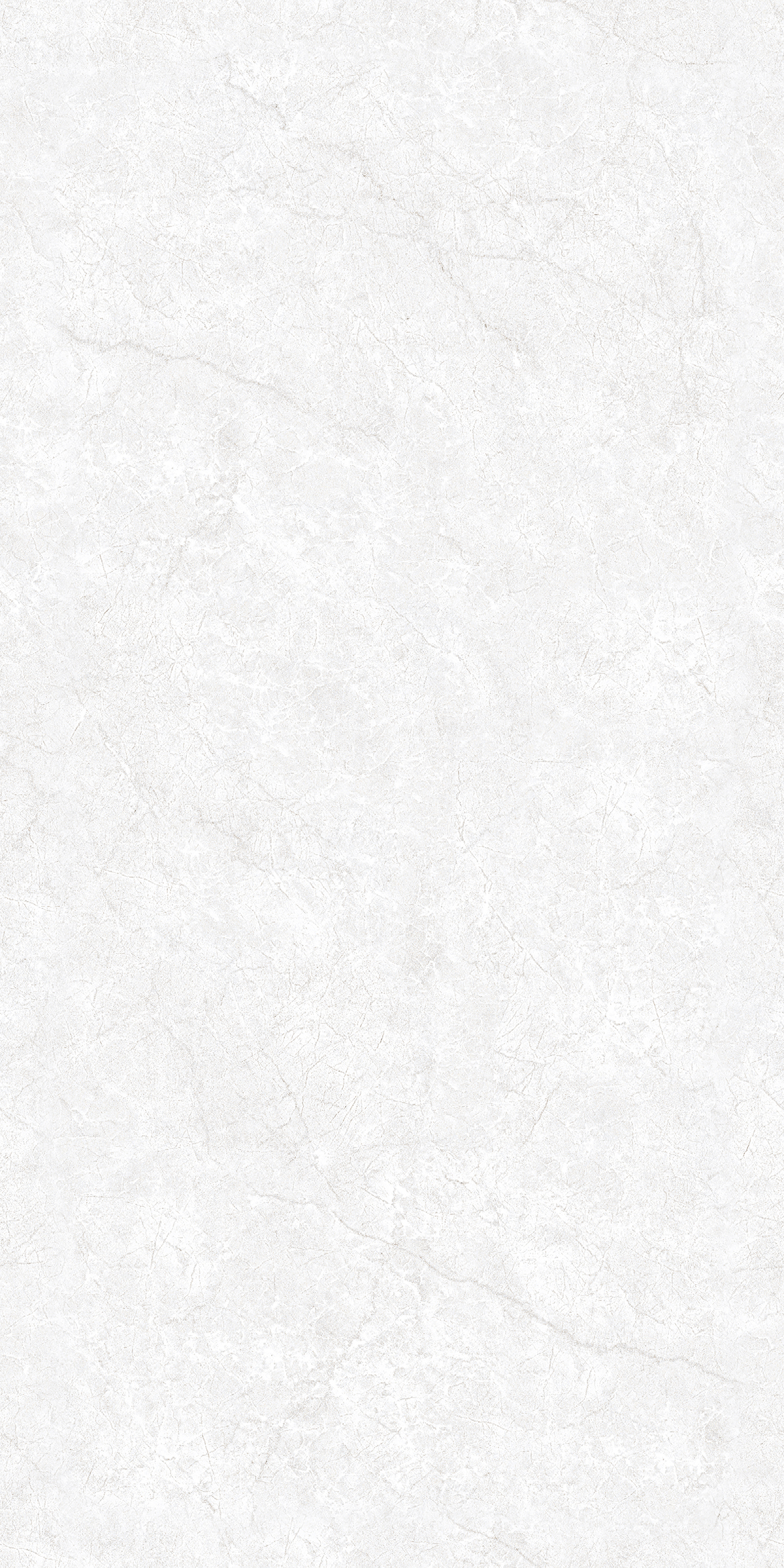 CR ENDLESS OYSTER BIANCO