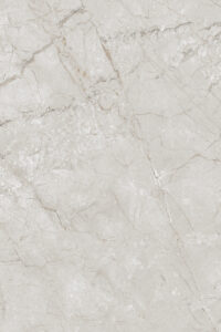 BISSAZA GREY