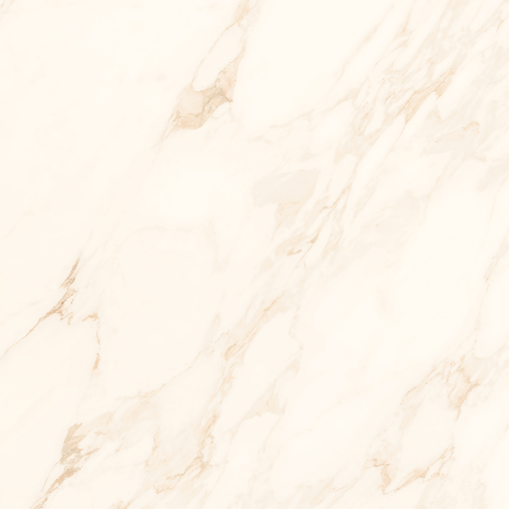CALACATTA IVORY