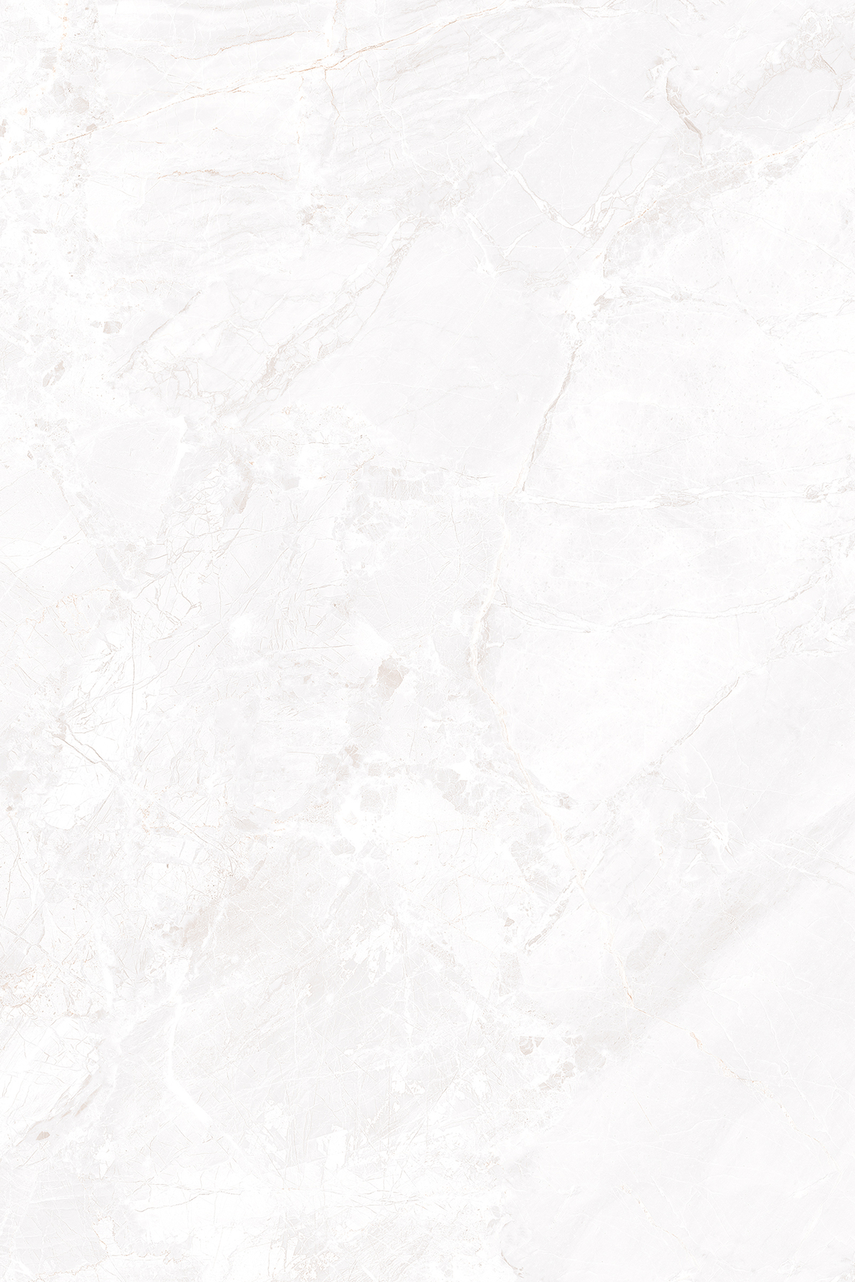 CAMO BIANCO