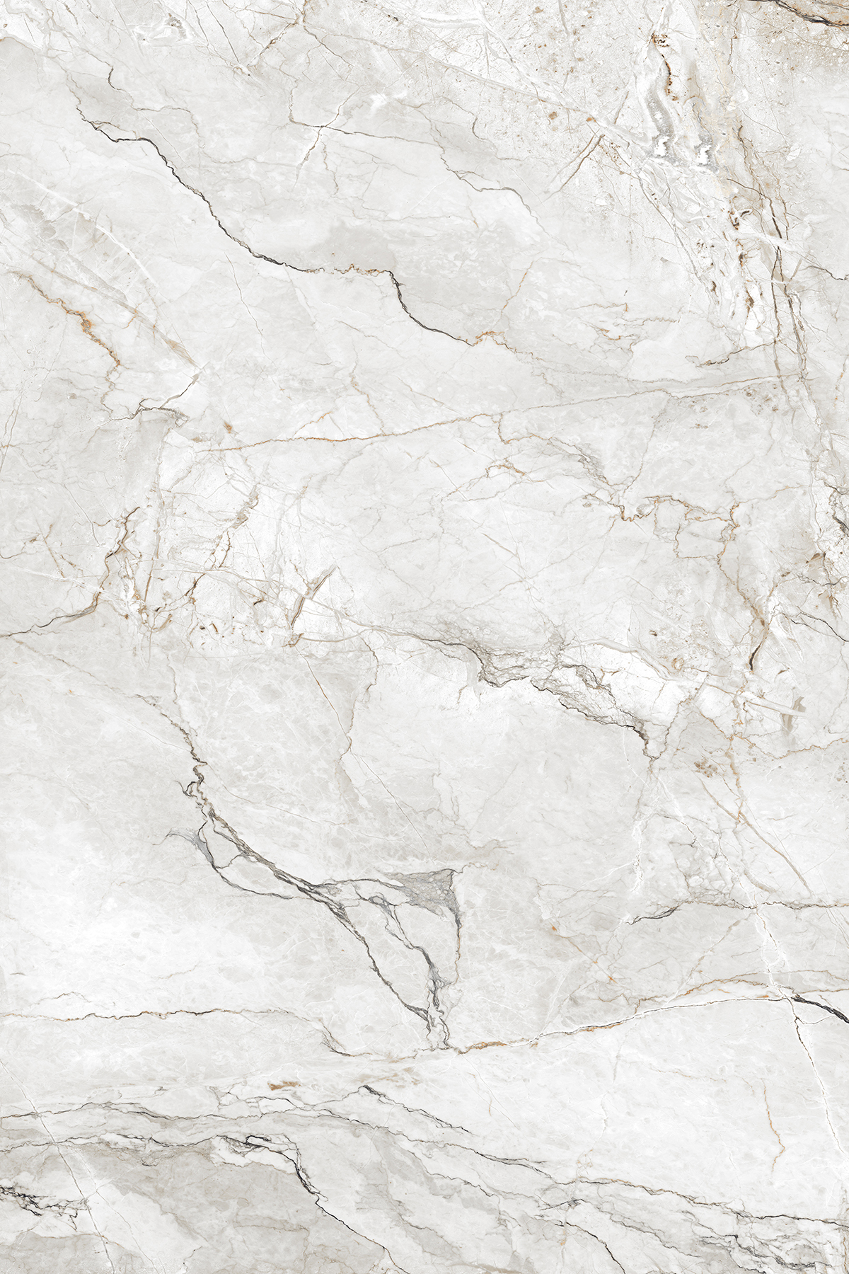 CORALITO SILVER