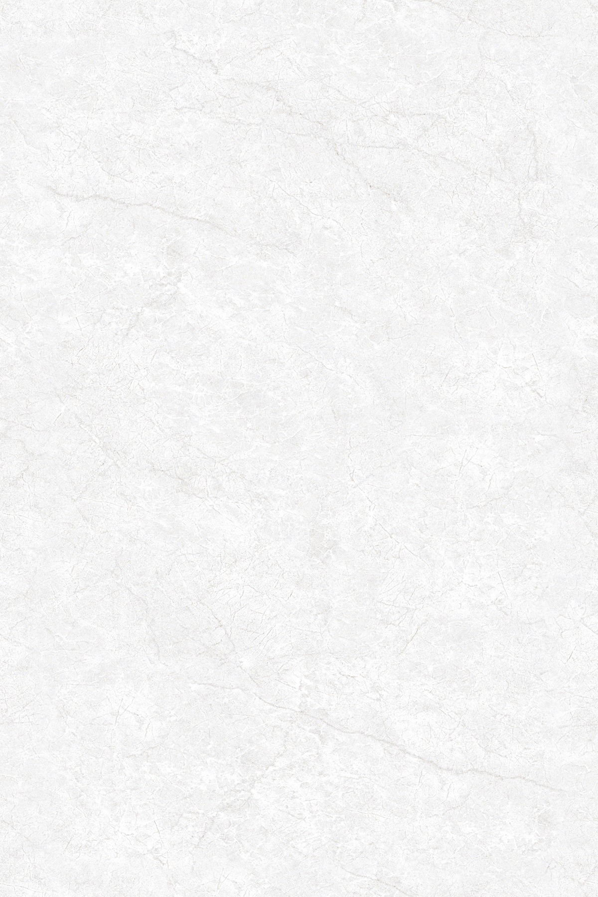 ENDLESS OYSTER BIANCO