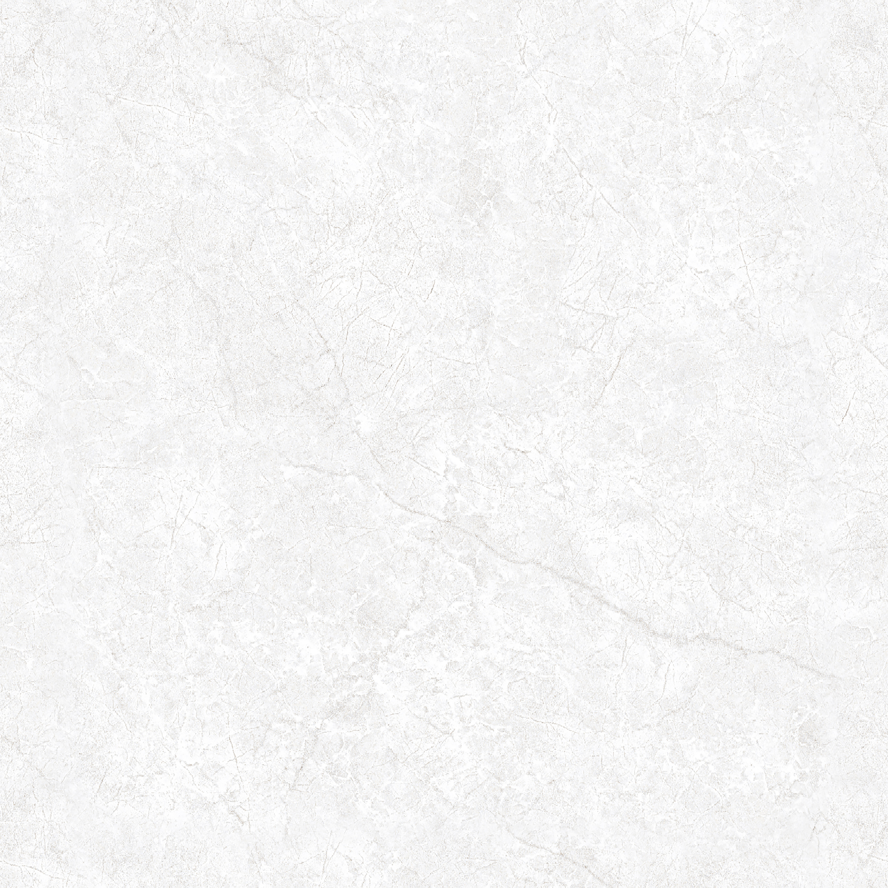 ENDLESS OYSTER BIANCO
