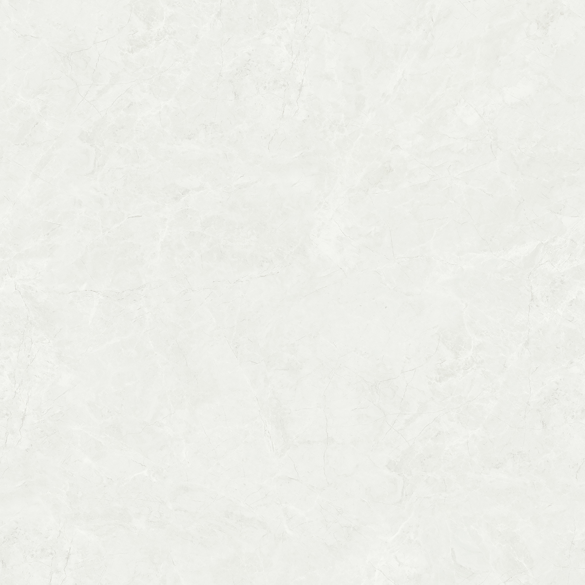 ENDLESS VERSACE GREY