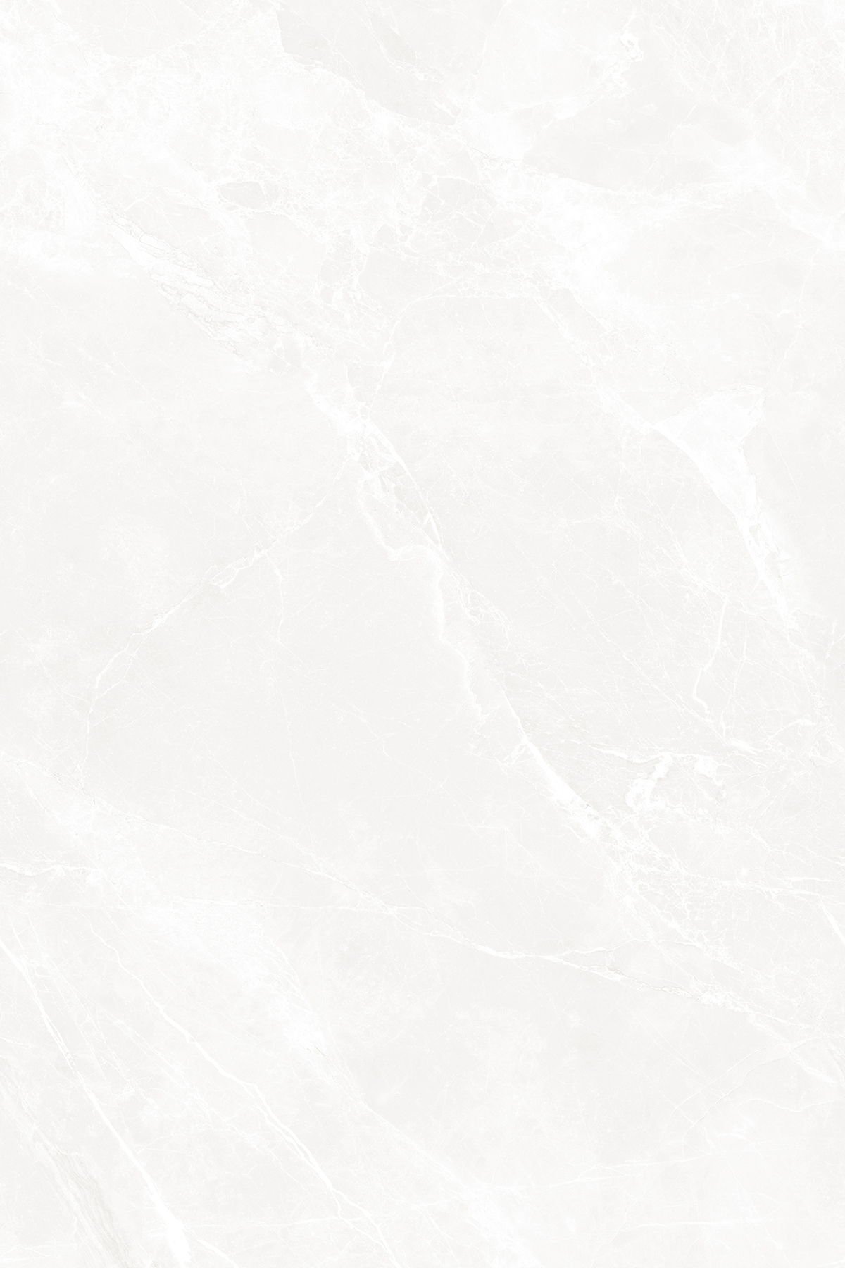 NETRA BLANCO