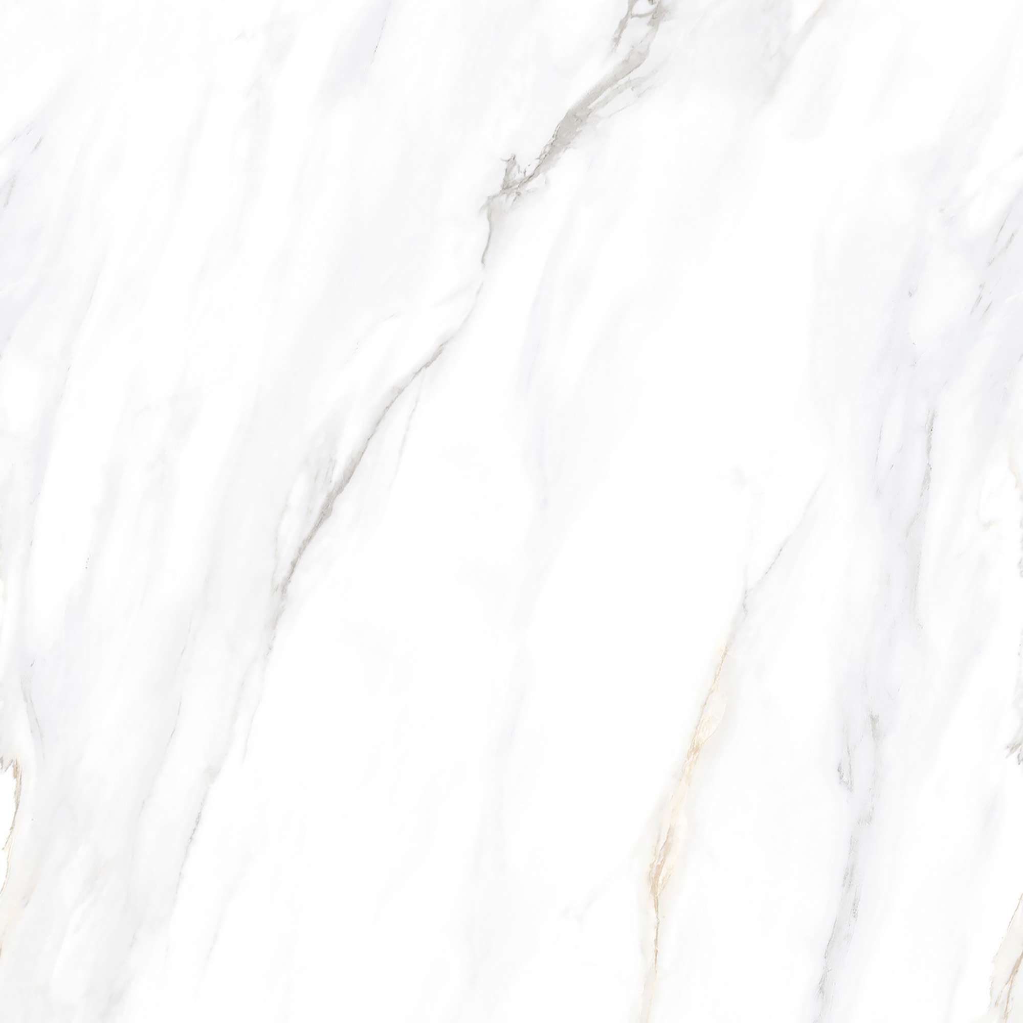 ENDLESS CALCATTA BORGHINI