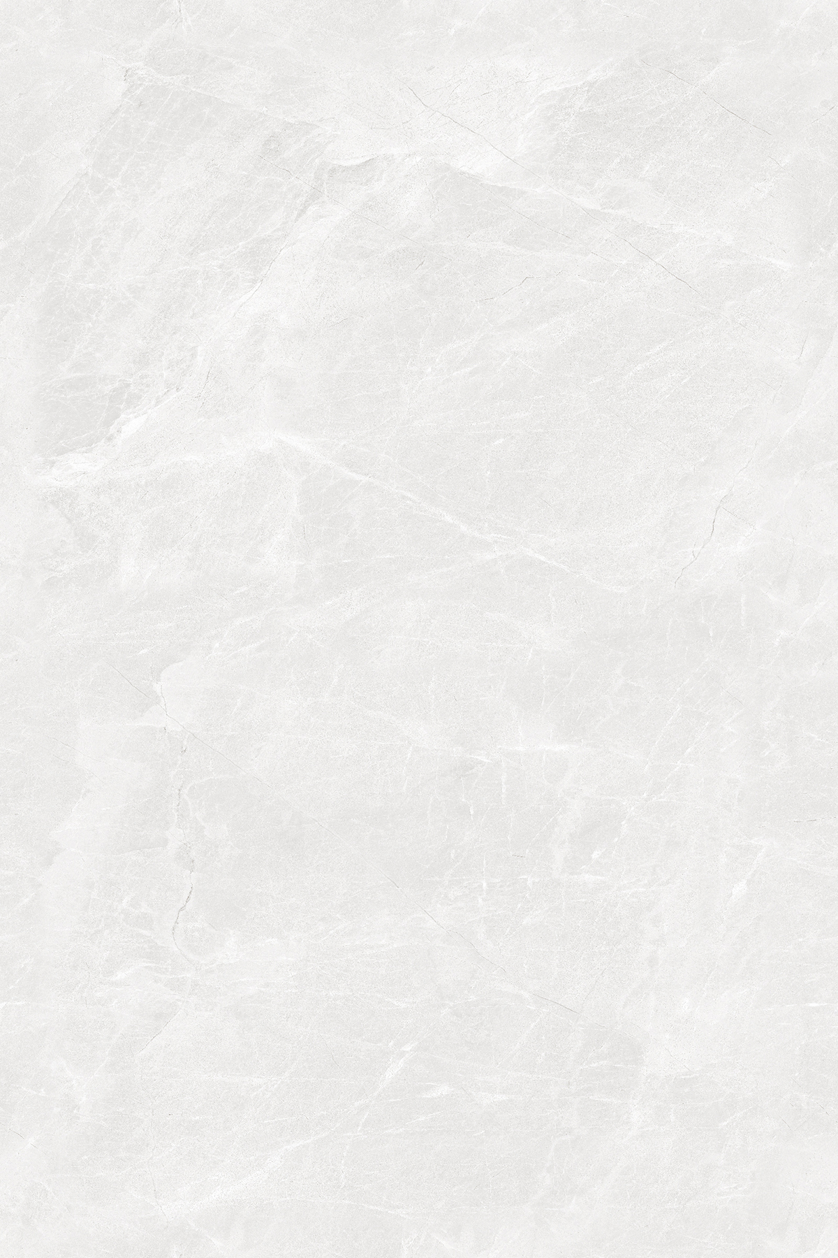 ENDLESS FORD WHITE
