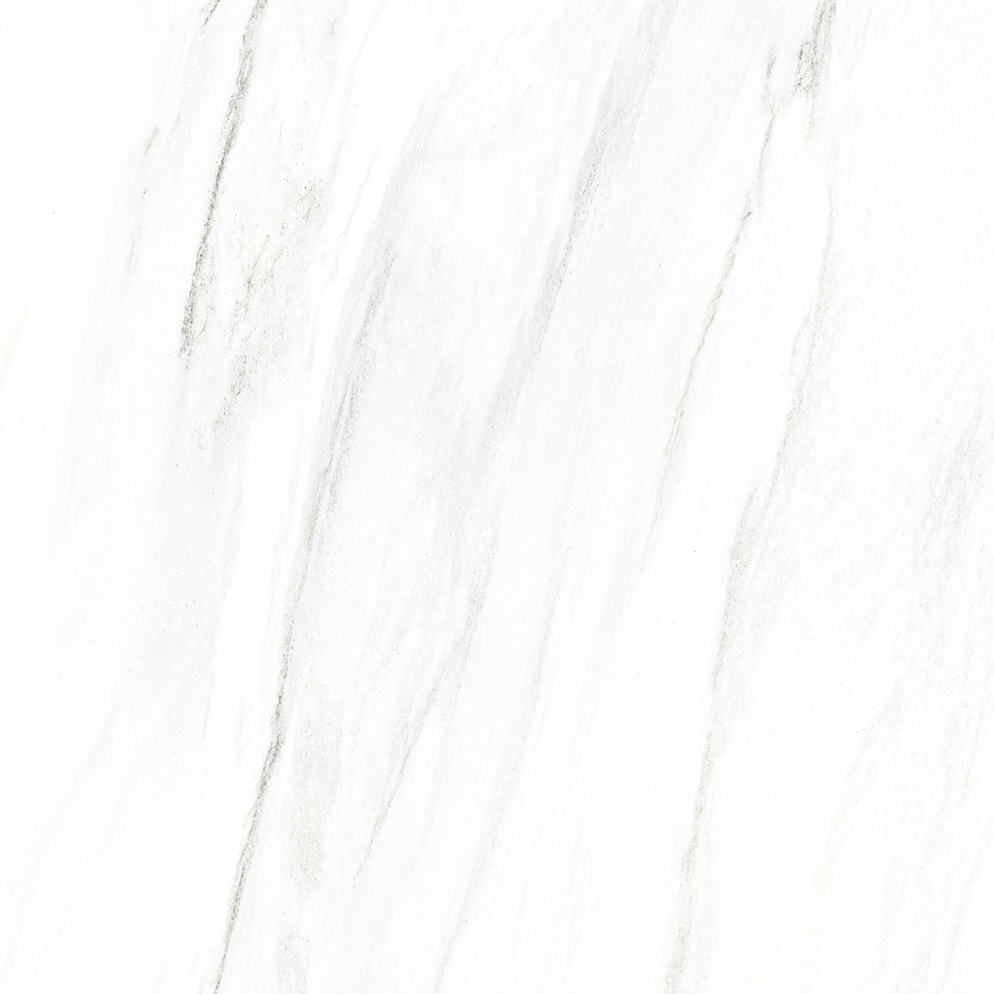 LASSA WHITE
