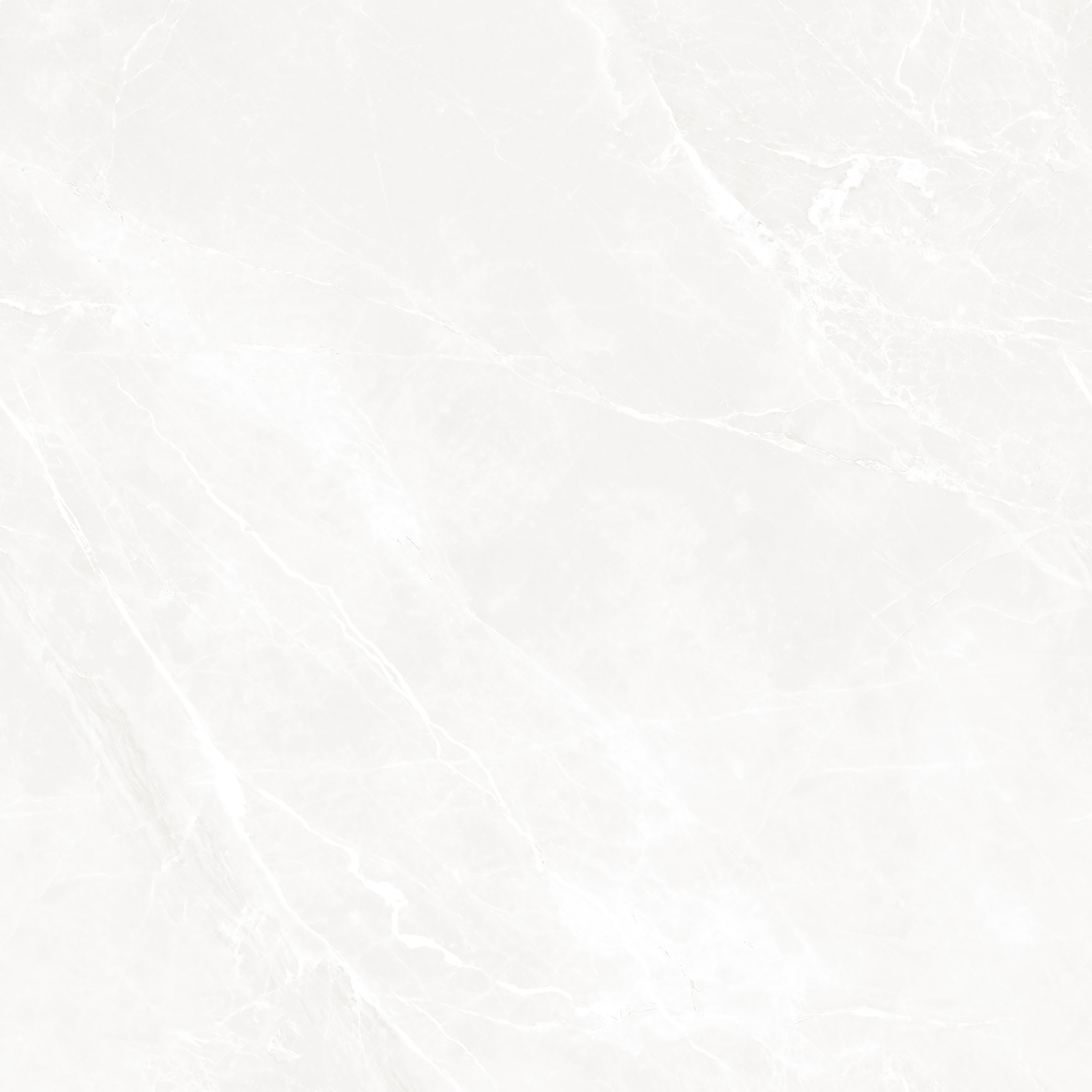NETRA BLANCO