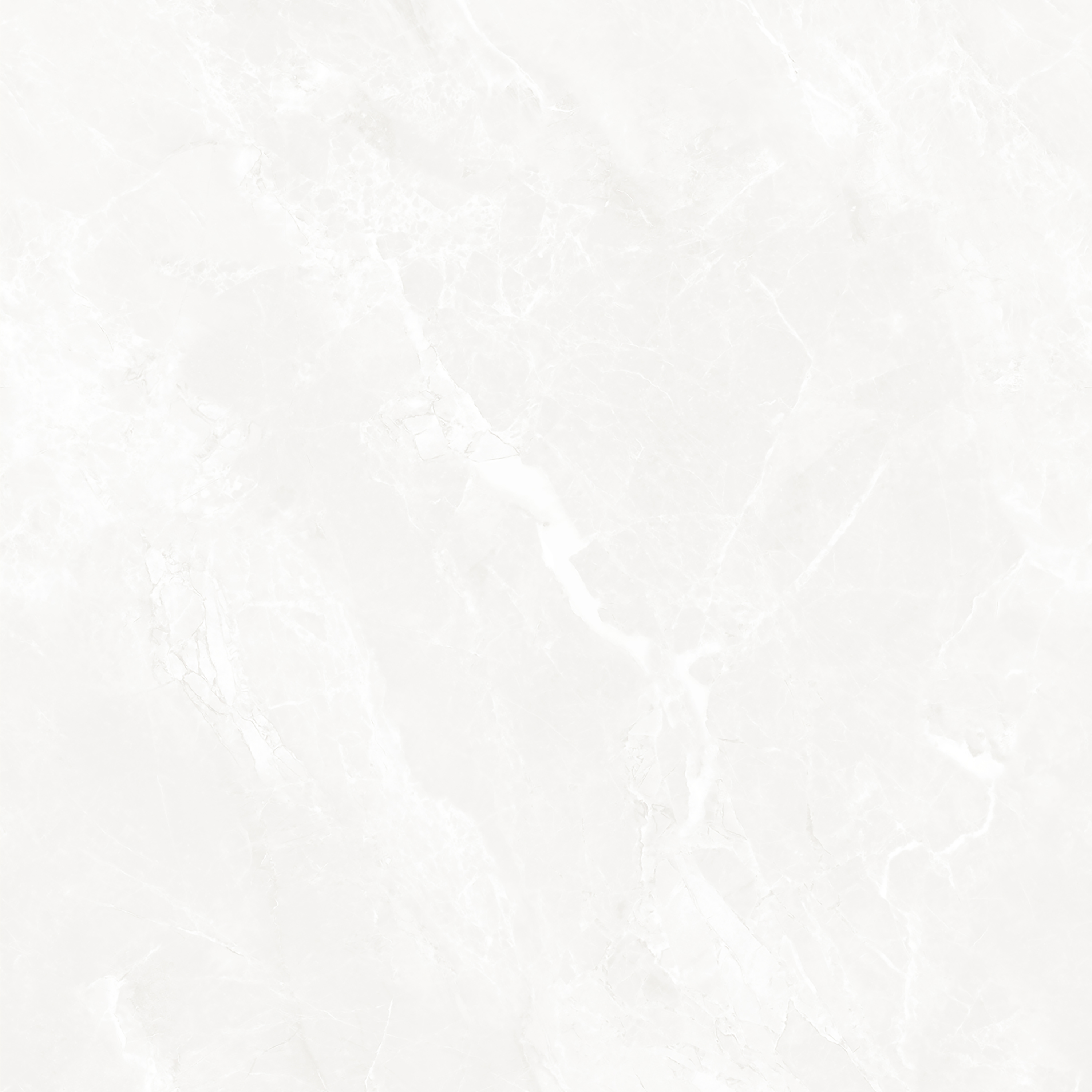 NETRA BLANCO