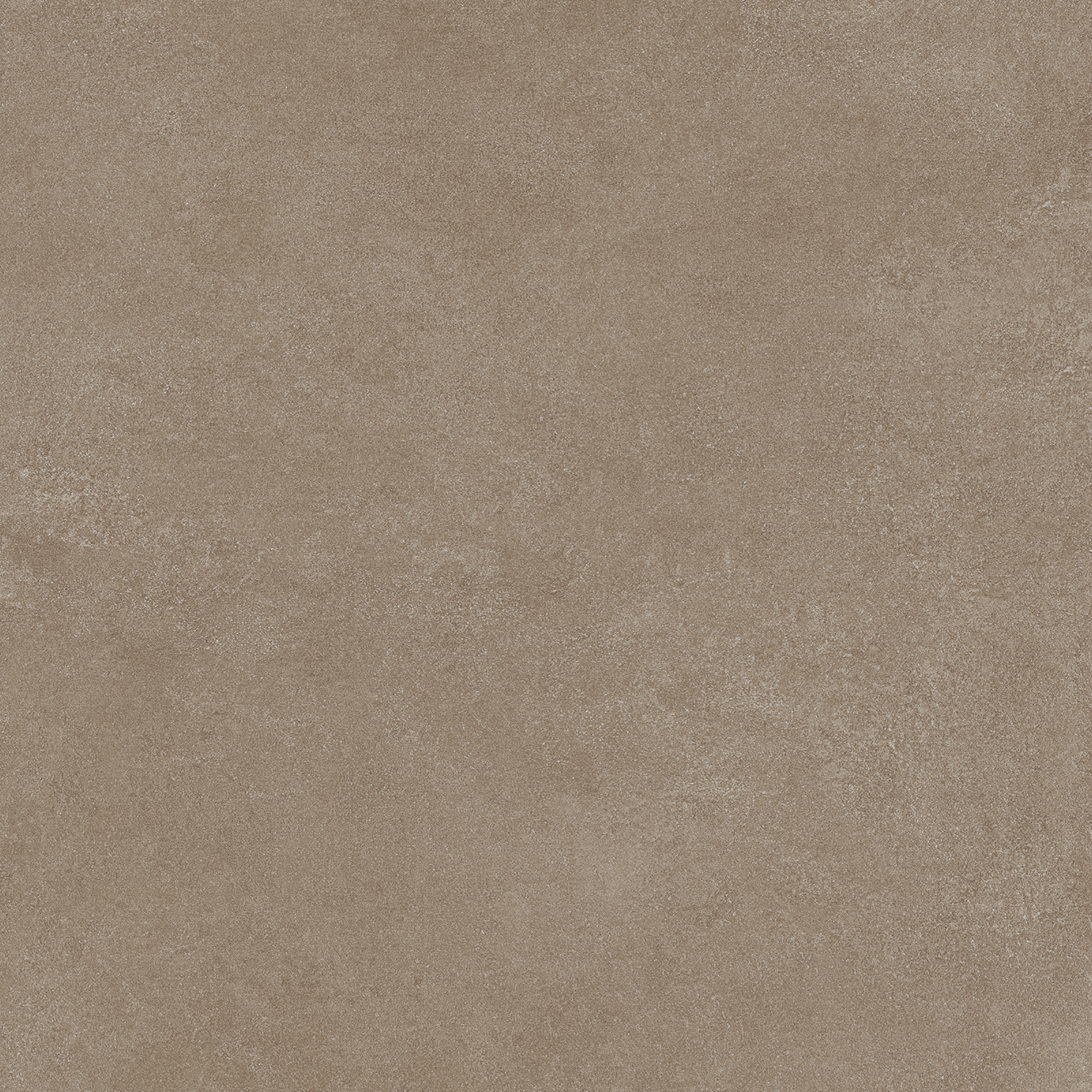 SEA SAND CRAMAL