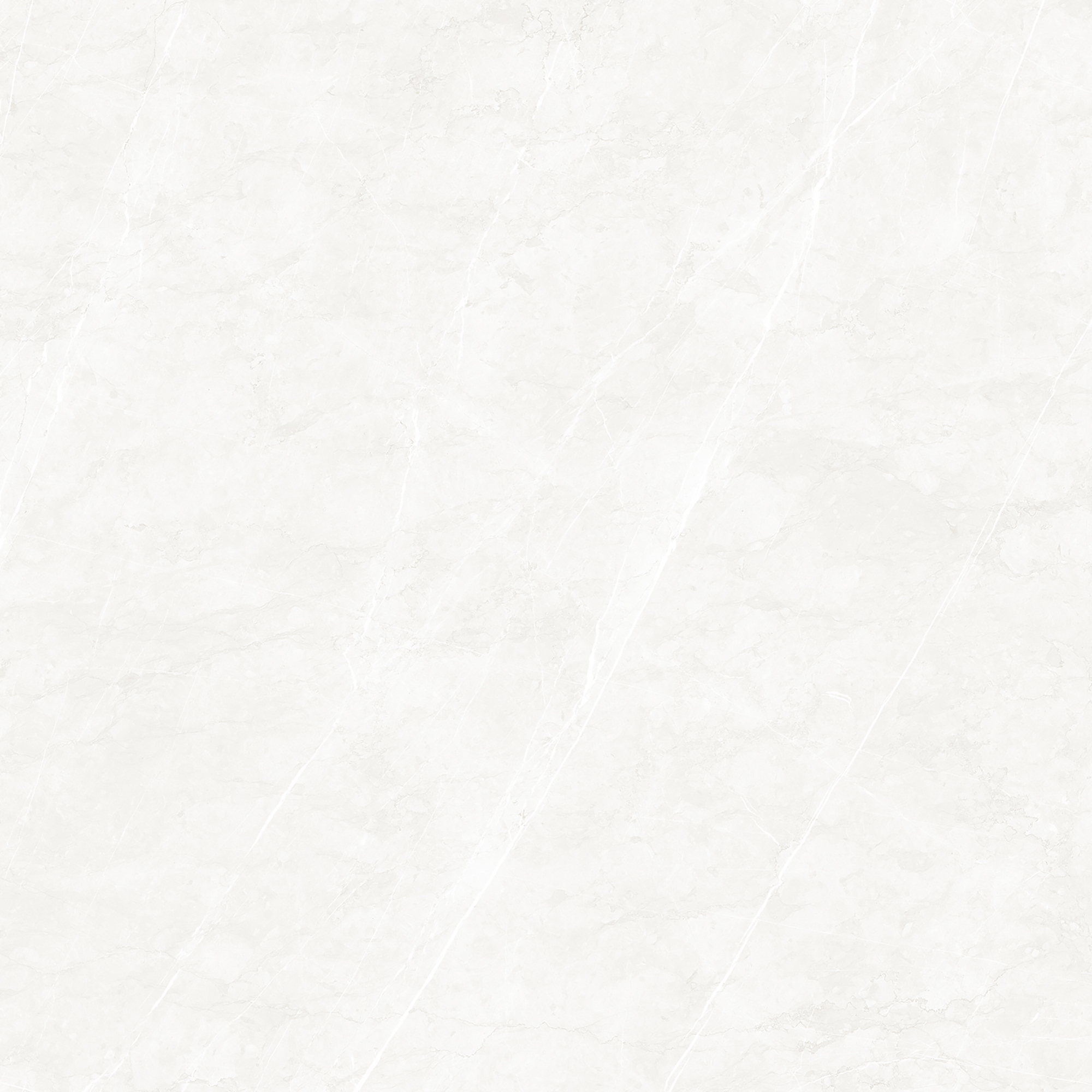SHEPHIRE BIANCO